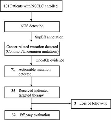 Genetic Alteration Profiling of Chinese Lung Adenocarcinoma and Its Effect on Targeted Therapy Efficacy